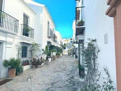 Semi-Detached House in Marbella
