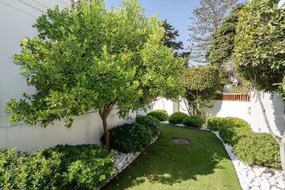 Detached Villa in Guadalmina Baja