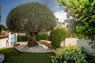 Detached Villa in Guadalmina Baja