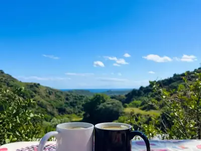 Finca - Cortijo in Estepona
