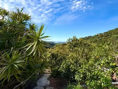 Finca - Cortijo in Estepona