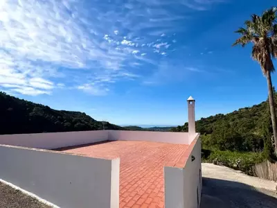 Finca - Cortijo in Estepona