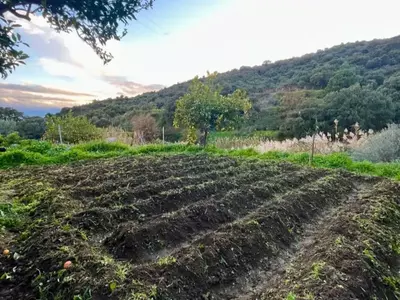 Finca - Cortijo in Estepona