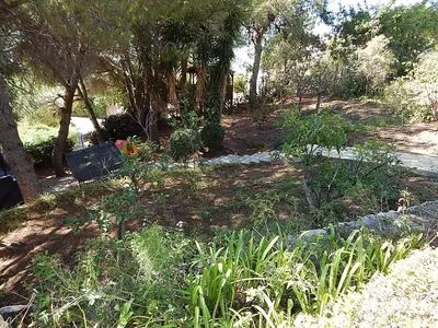 Residential Plot in Marbella