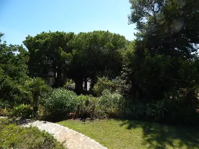 Residential Plot in Marbella