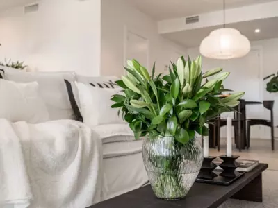 Ground Floor Apartment in Benahavís