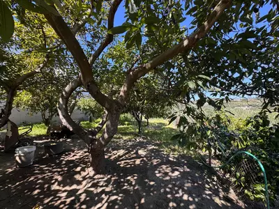 Detached Villa in Estepona