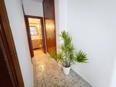 Semi-Detached House in Estepona
