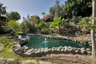 Ground Floor Apartment in Marbella
