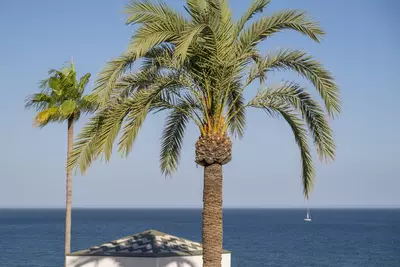 Penthouse in Estepona