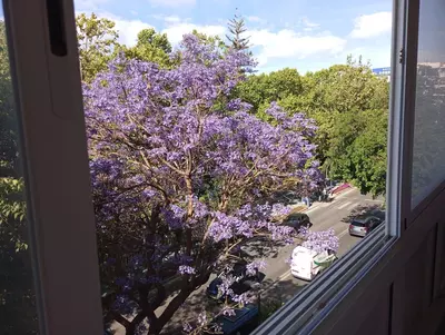 Middle Floor Apartment in Marbella