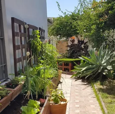 Semi-Detached House in Estepona