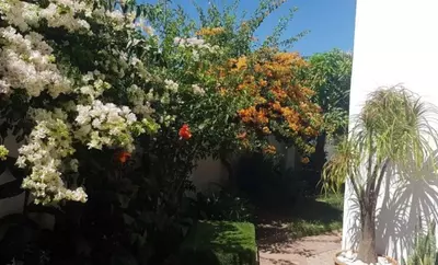 Semi-Detached House in Estepona