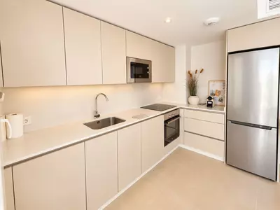 Penthouse in Manilva