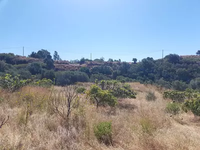 Finca - Cortijo in Estepona