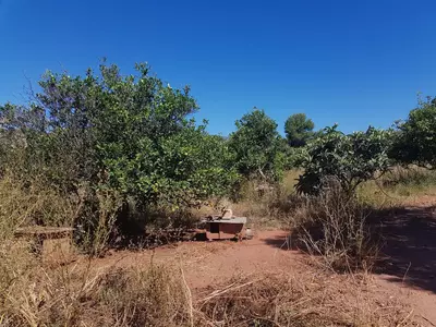 Finca - Cortijo in Estepona
