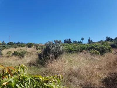 Finca - Cortijo in Estepona