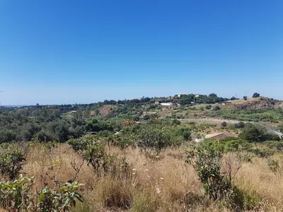 Finca - Cortijo in Estepona