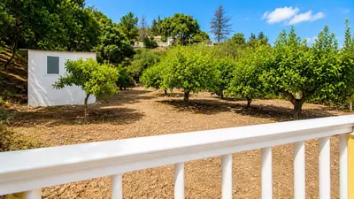 Finca - Cortijo in Estepona