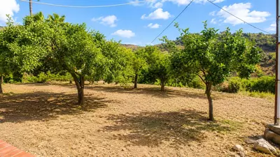 Finca - Cortijo in Estepona