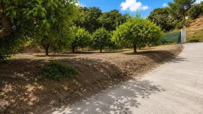 Finca - Cortijo in Estepona
