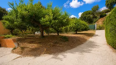 Finca - Cortijo in Estepona