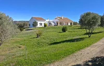 Detached Villa in Elviria
