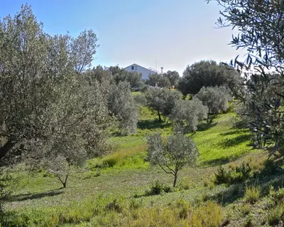 Detached Villa in Elviria