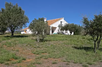 Detached Villa in Elviria
