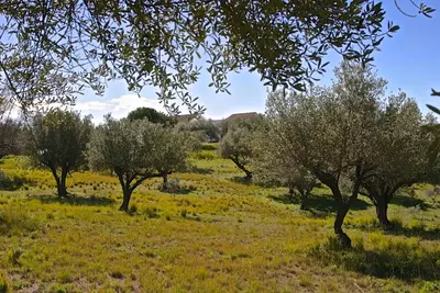 Detached Villa in Elviria