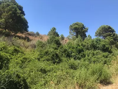 Land in Estepona