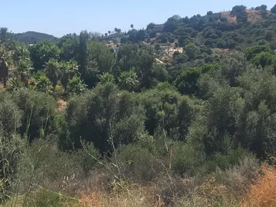 Land in Estepona