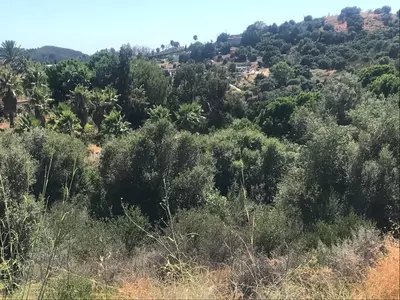 Land in Estepona