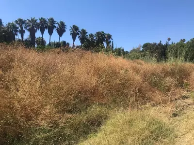 Land in Estepona