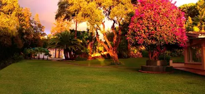 Detached Villa in Elviria