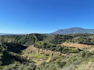 Residential Plot in Estepona