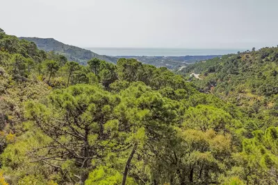 Land in Benahavís