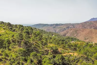 Land in Benahavís