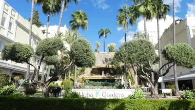 Penthouse in Nueva Andalucía