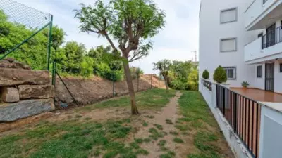 Ground Floor Apartment in Casares