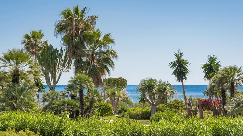 Ground Floor Apartment in Estepona