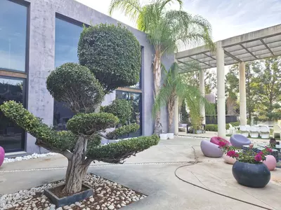 Detached Villa in Estepona
