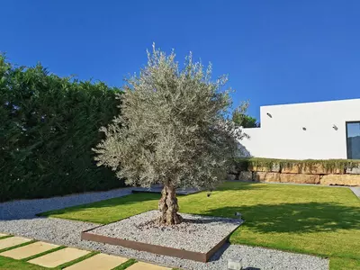 Detached Villa in Benahavís