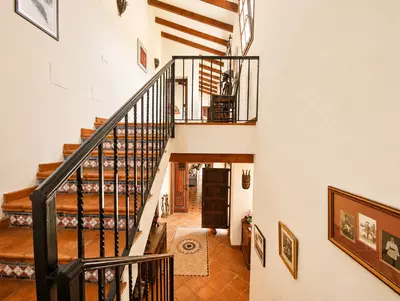 Finca - Cortijo in Casares