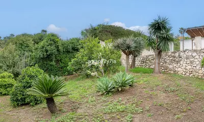 Detached Villa in El Rosario