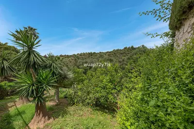 Detached Villa in El Rosario