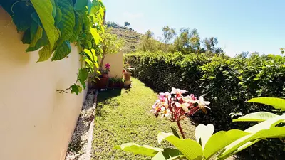 Ground Floor Apartment in Elviria