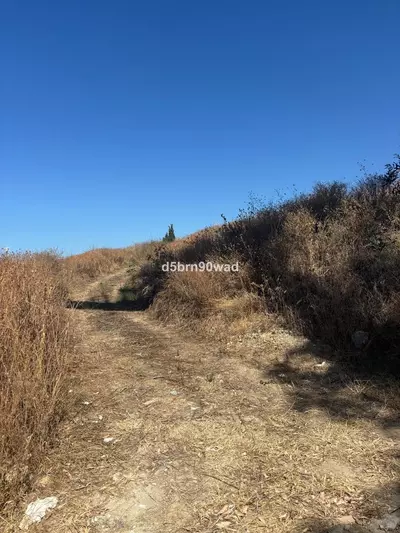 Commercial Plot in Marbella