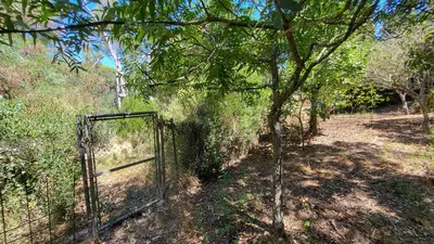 Detached Villa in Elviria