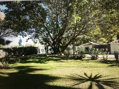 Detached Villa in Guadalmina Baja